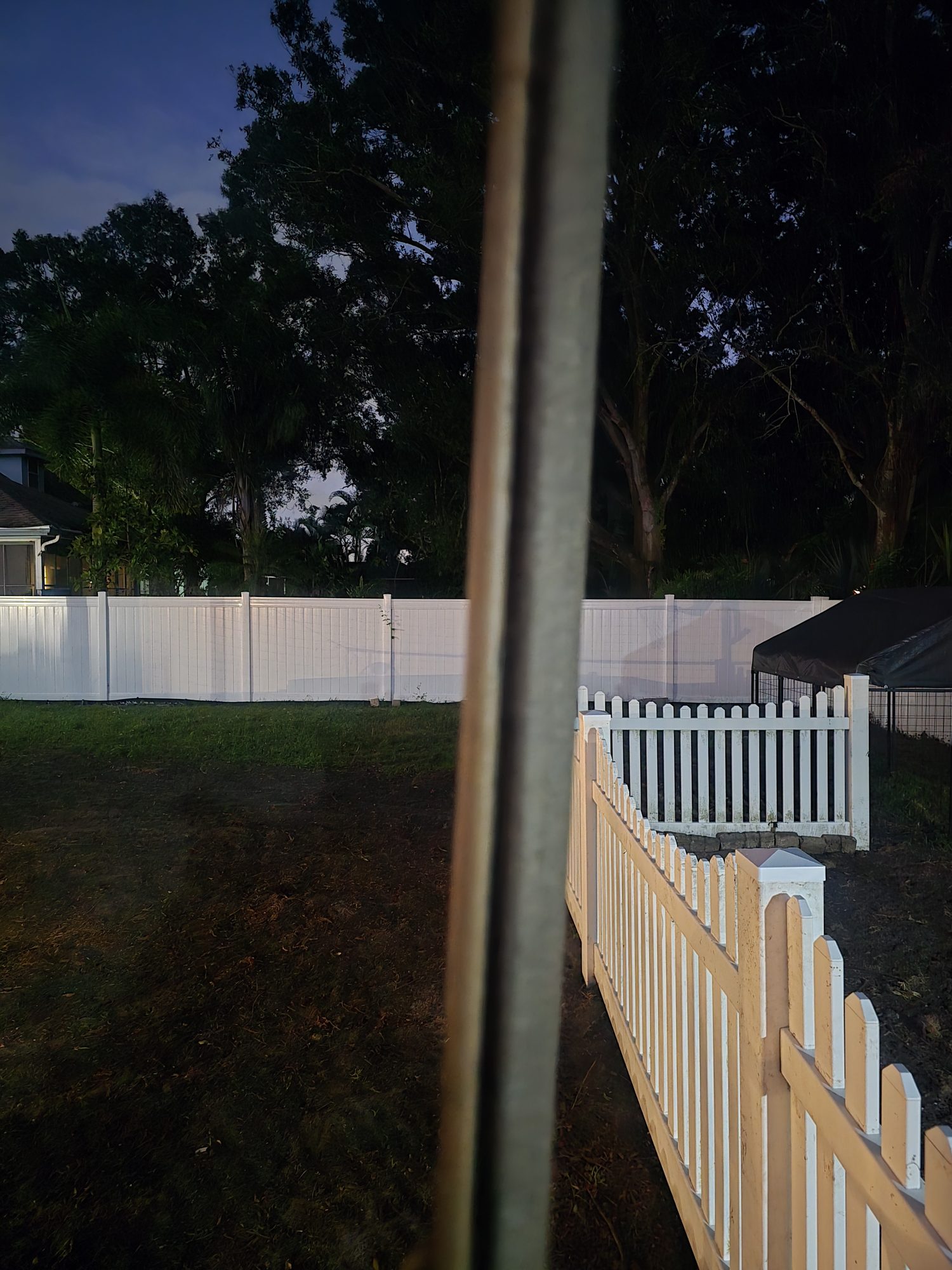 Backyard existing conditions